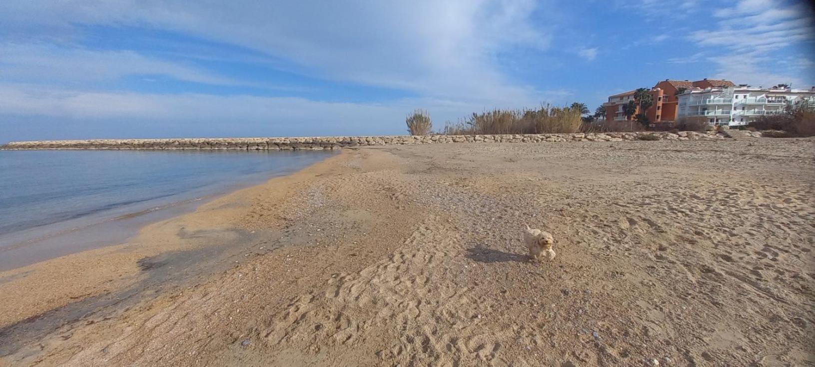 Beach View - Primera Linea Lujo Denia Eksteriør bilde